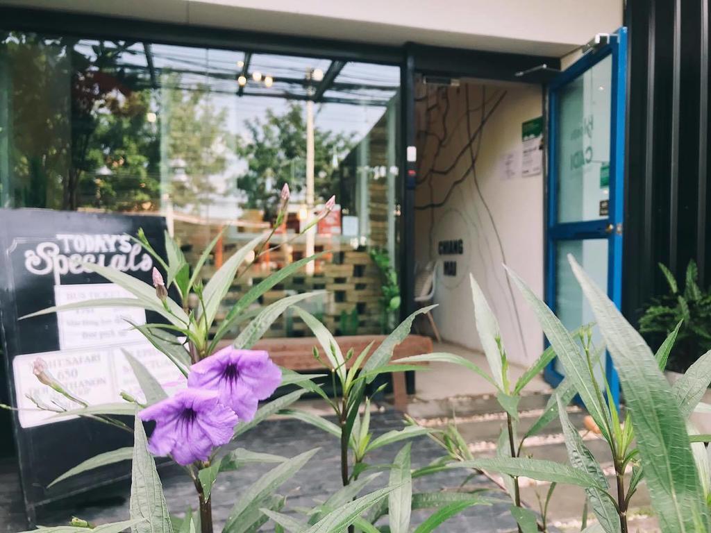 Bloomz Hostel Chiang Mai Eksteriør bilde